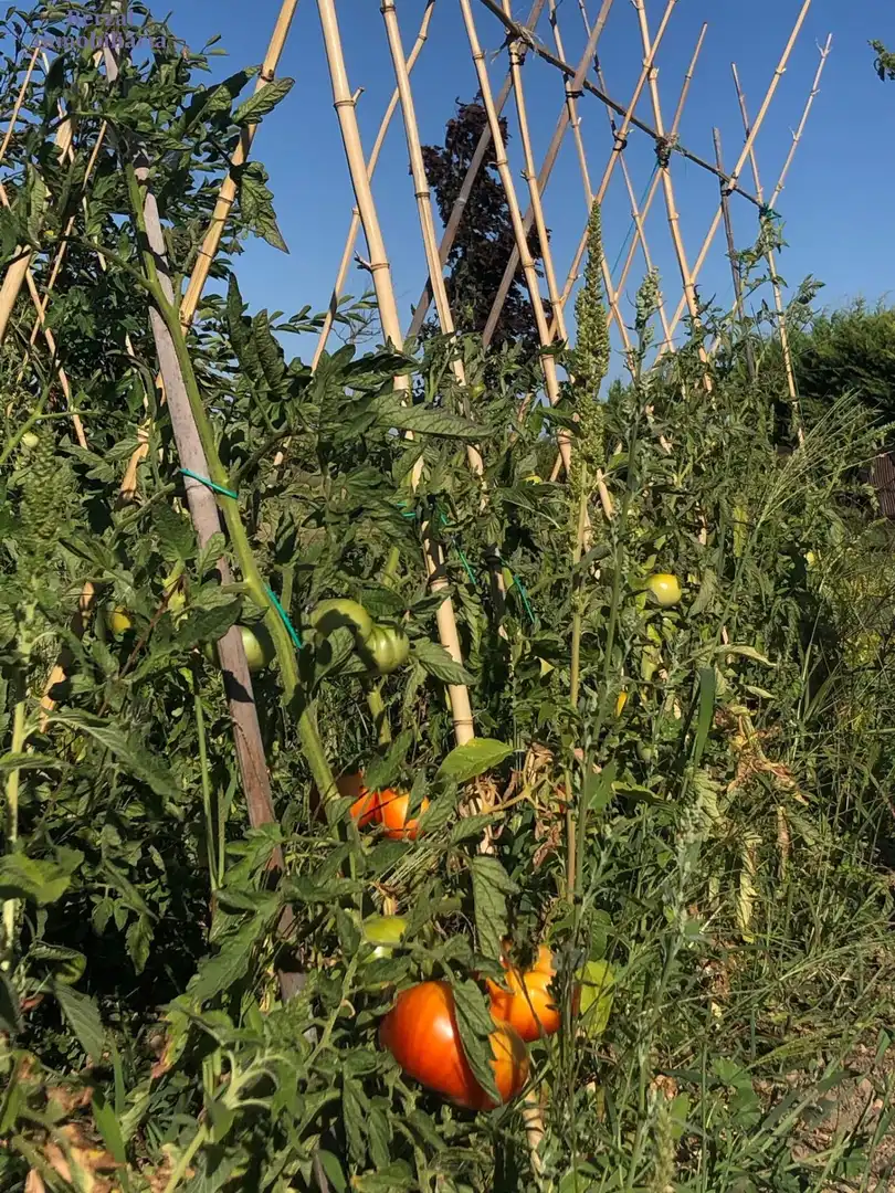 Jardín de Terreno en venta en Laguardia