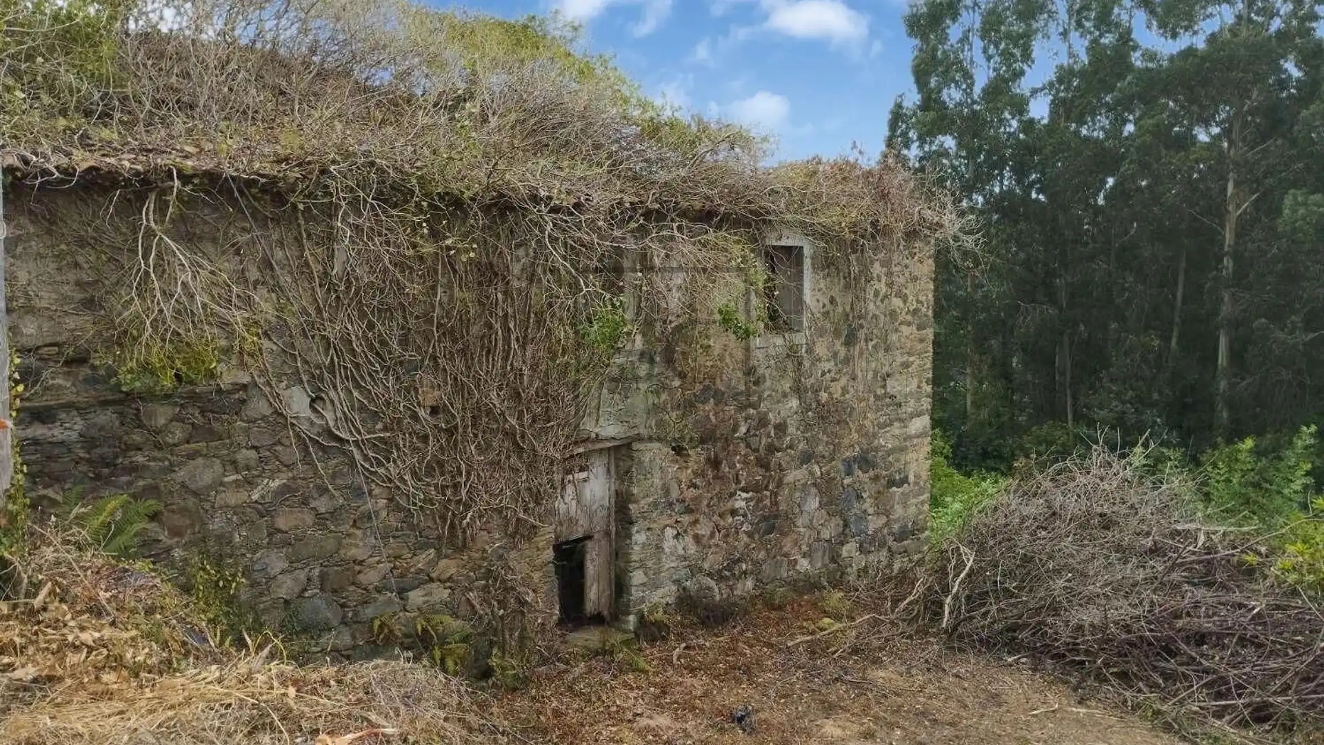 Casa o chalet en venta