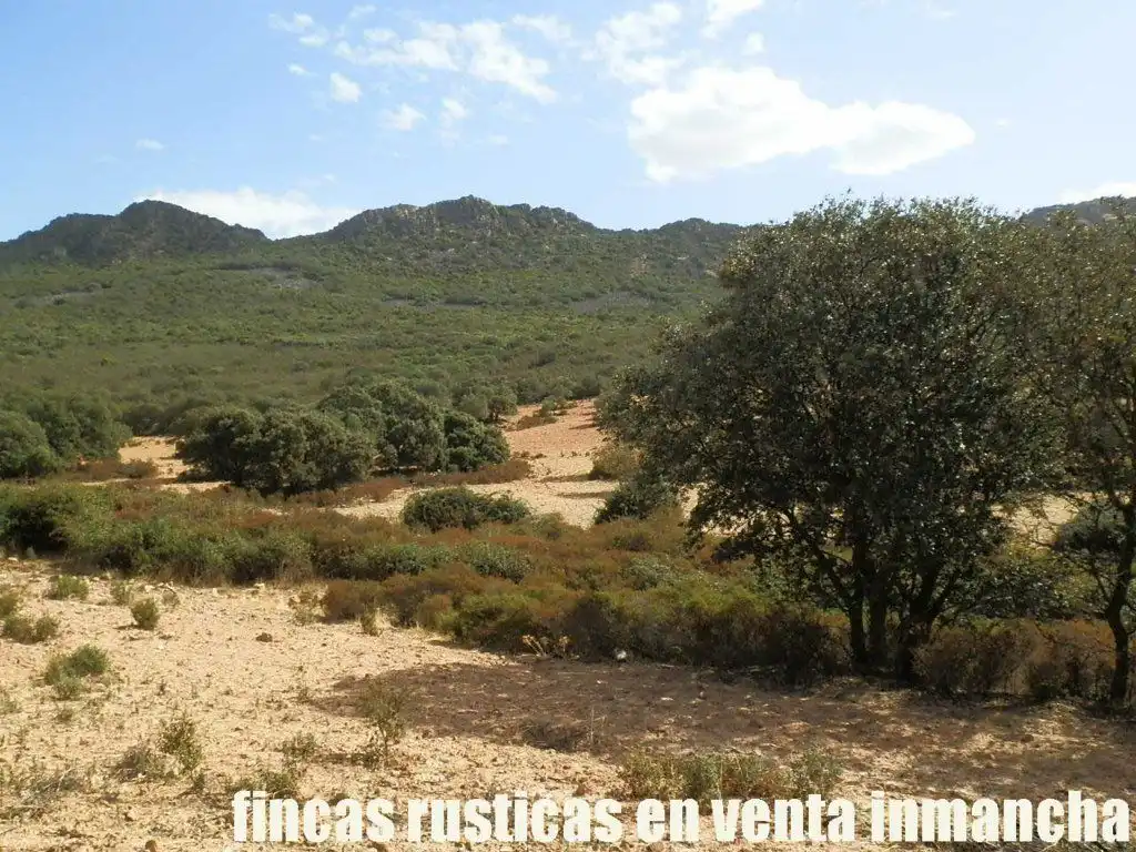 Terreni e lotti in vendita a Peñalsordo, imagen 13