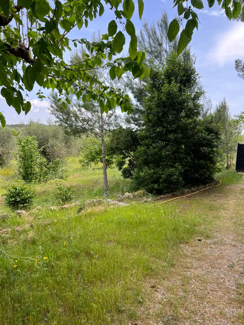 Grundstücke zum Verkauf in Botarell
