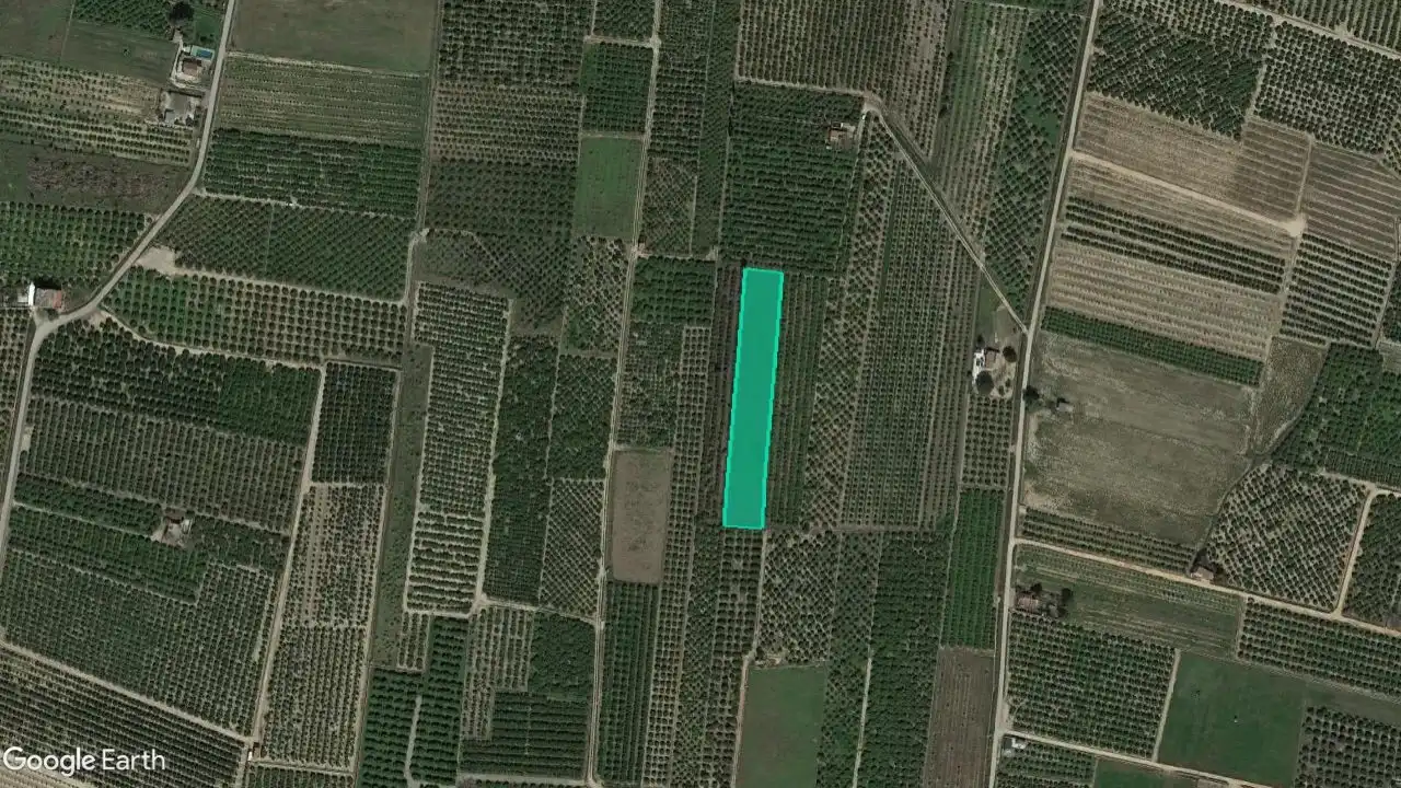 Rural land for sale in Pt La Mola, imagen 2