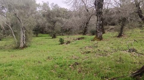 Finca Rúst. en venta en Aracena., imatge 2