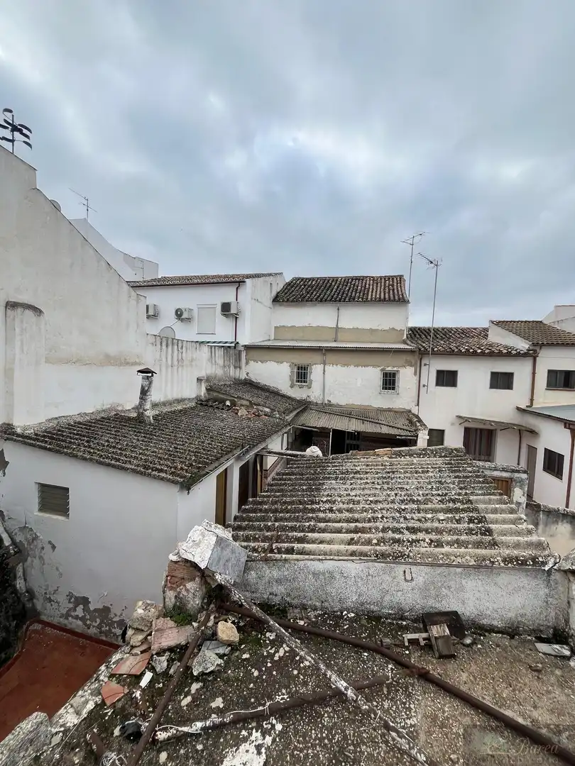 Casa en venta en Rute, imagen 13