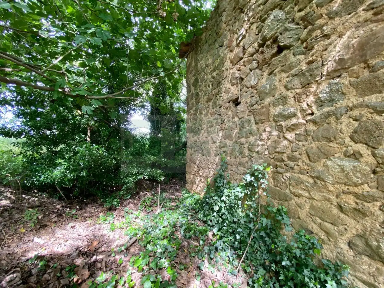 Finca rústica en venta en La Pera