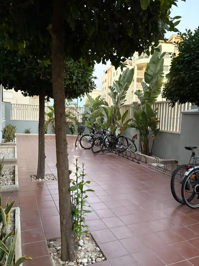 Ground floor with pool to rent in Carrer Garbí 26, imagen 6