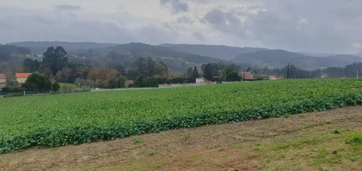 Wohnbaugrundstück zum Verkauf in Carral, imagen 4