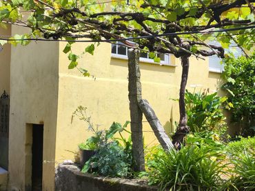 Casa amb jardí en venda a PO-261
