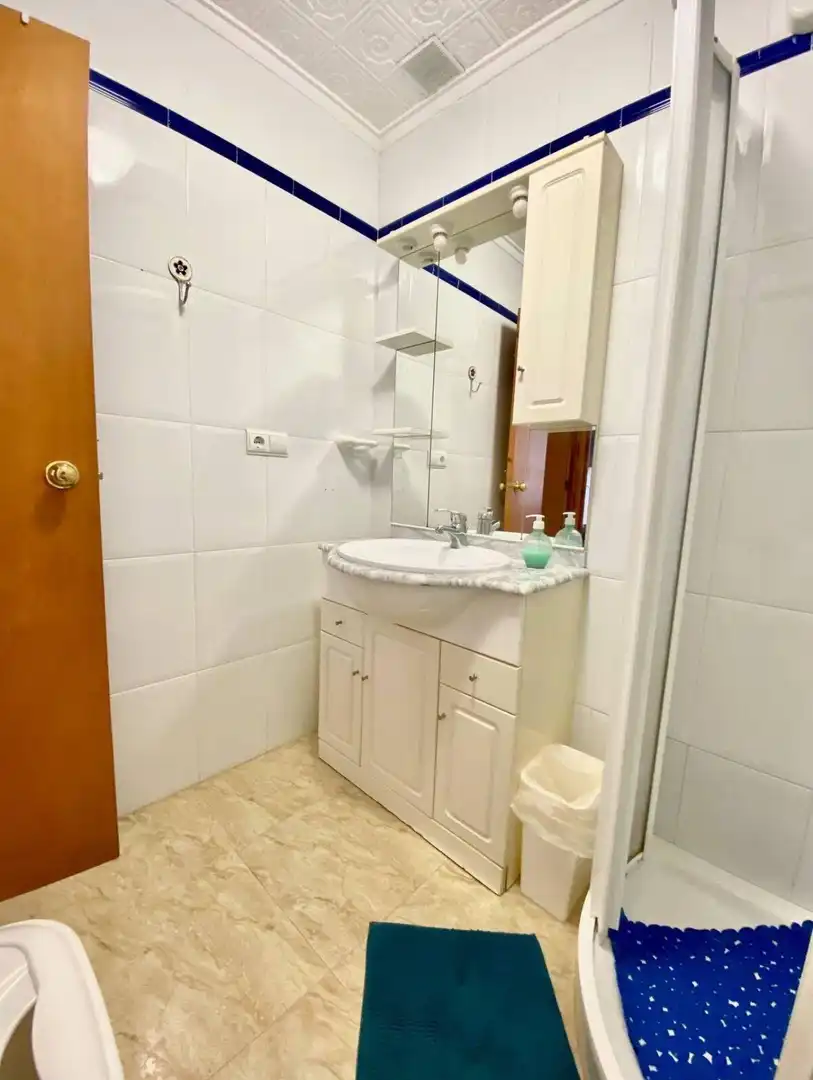 Bany de Finca rústica en venda en Torrevieja amb Aire condicionat, Jardí privat i Piscina