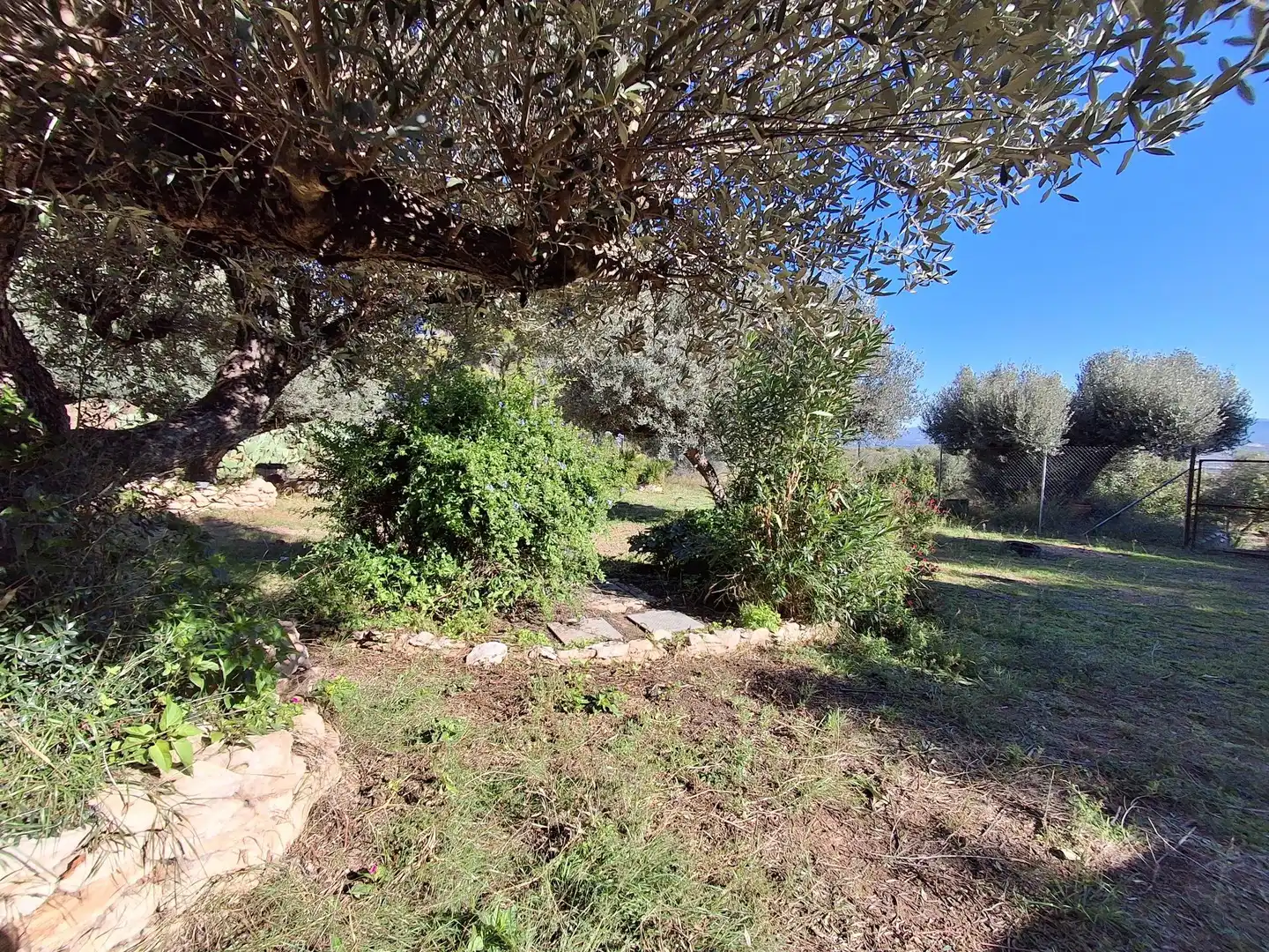 Finca rústica en venda en Móra d'Ebre