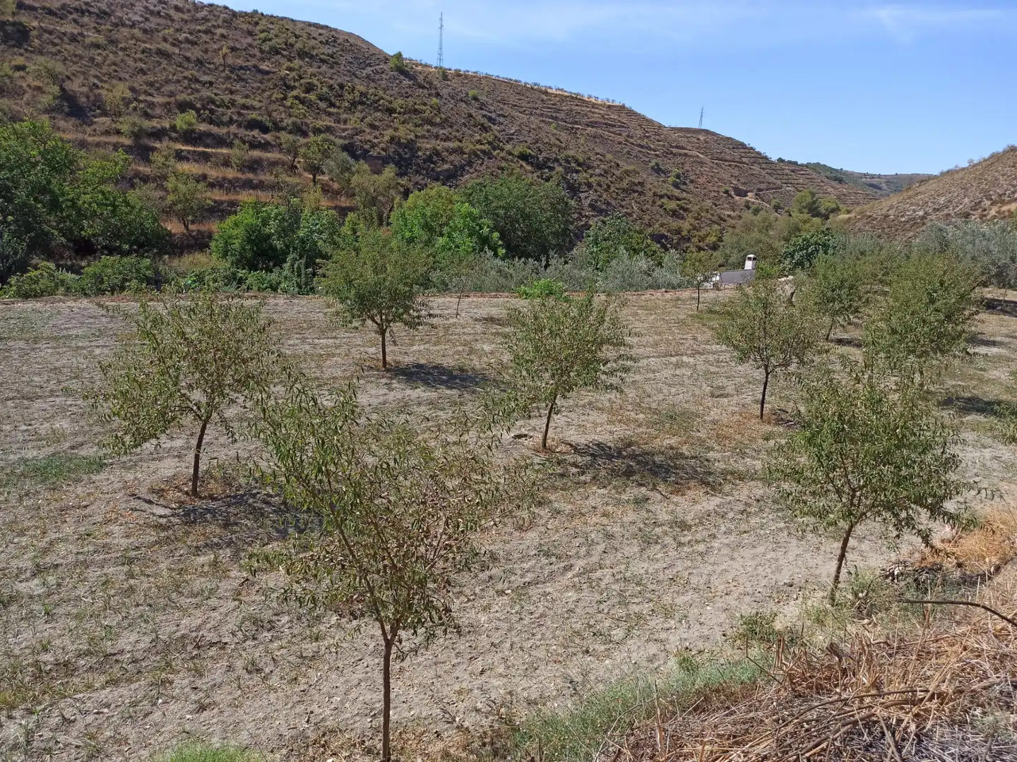 Finca rústica en venta en Dúrcal con Jardín privado, Terraza y Amueblado