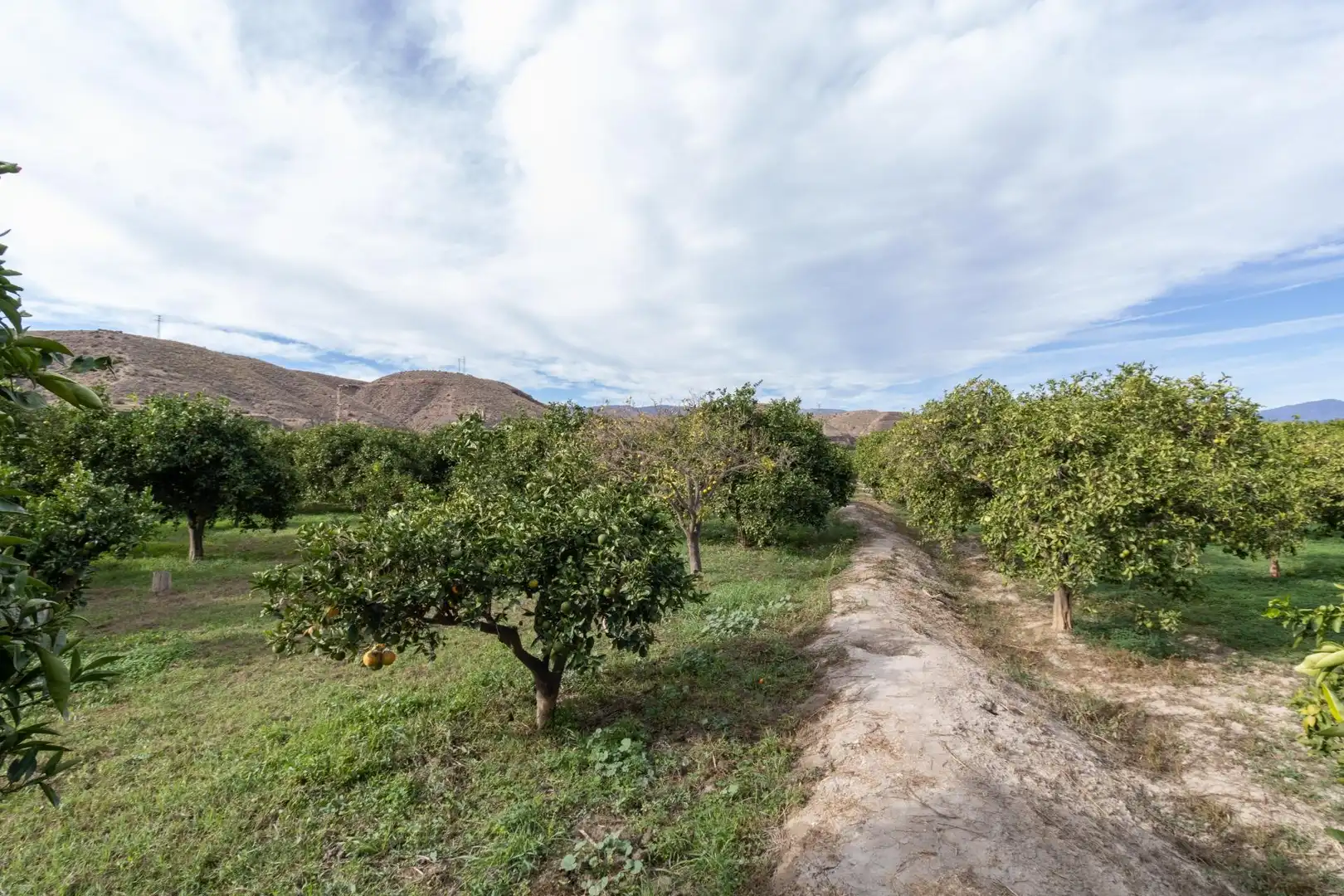 Land for sale in Santa Fe de Mondújar