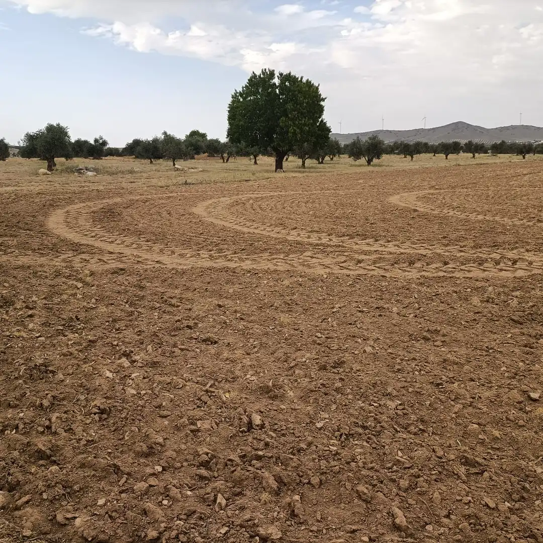 Terreno rustico in vendita a Nambroca, imagen 2