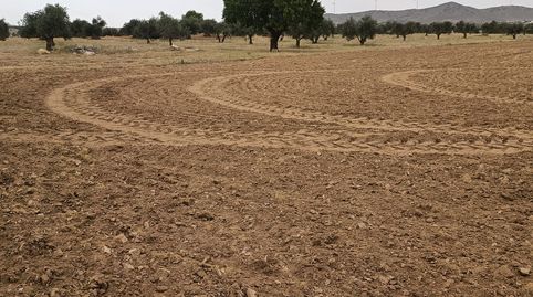 oferta de finca rustica , immagine 2