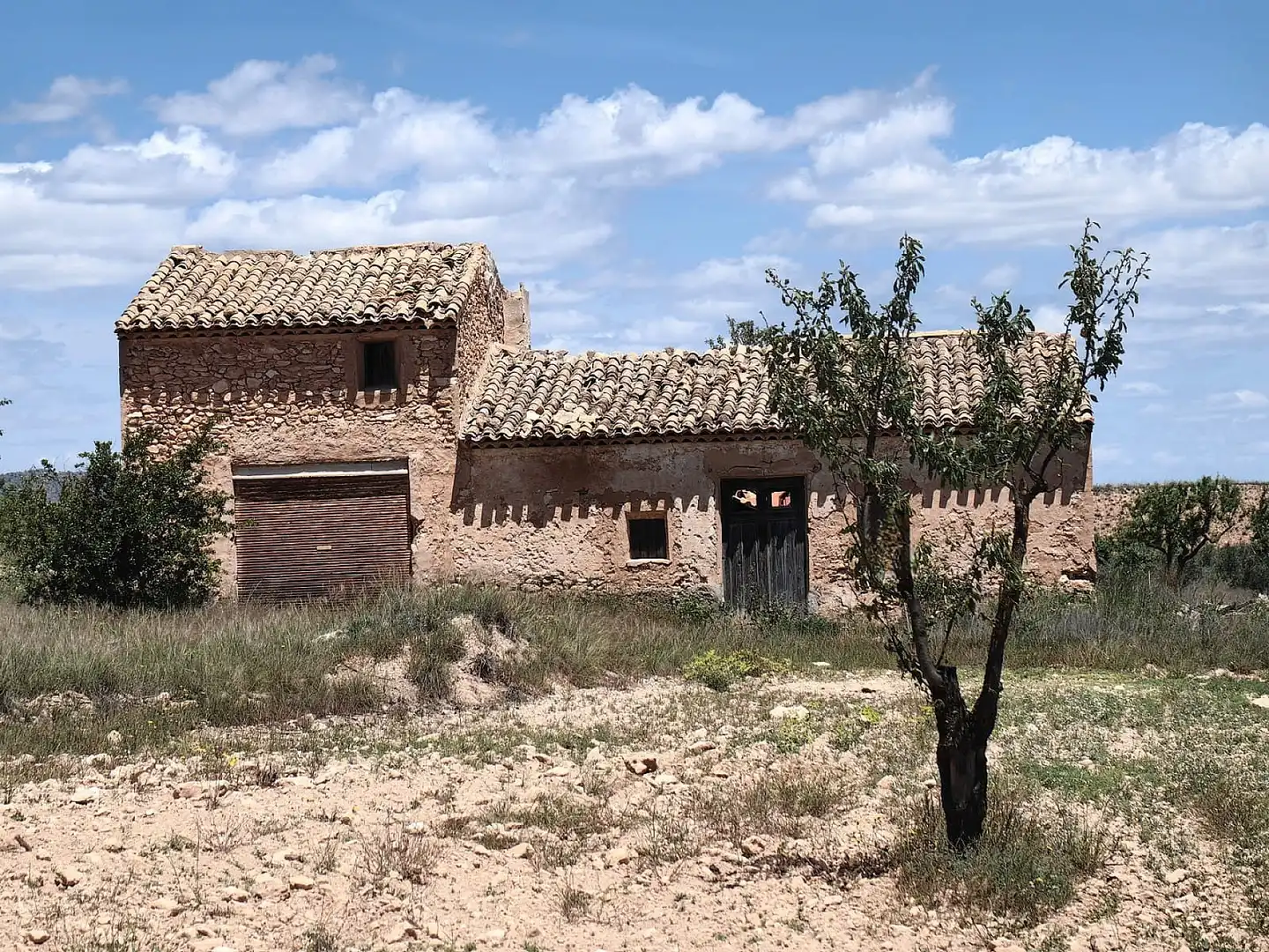 Maison à vendre à El Pinós / Pinoso, imagen 2