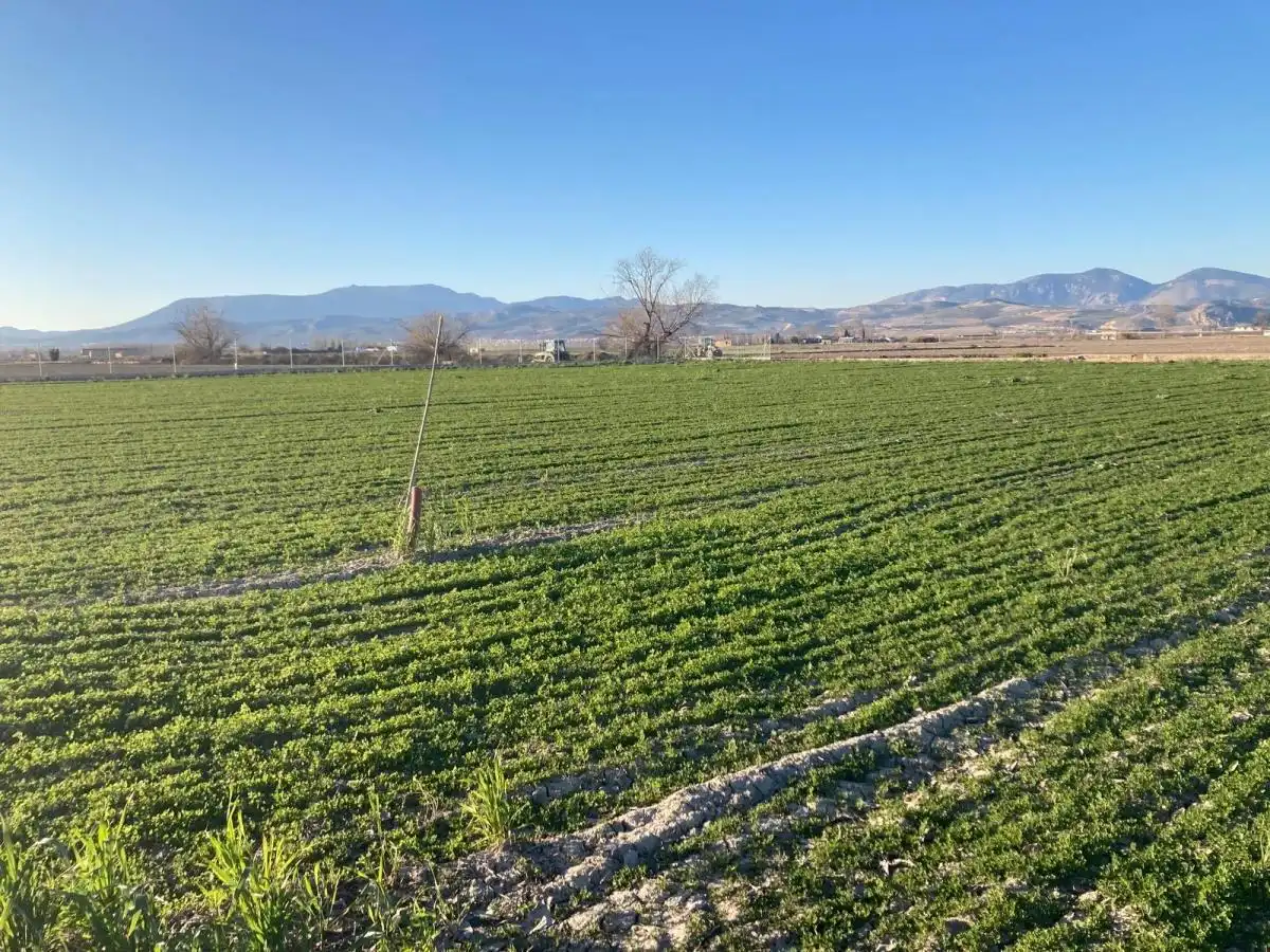 Rustikales Grundstück zum Verkauf in CARRETERA DE FUENTE VAQUEROS A ATARFE, imagen 5