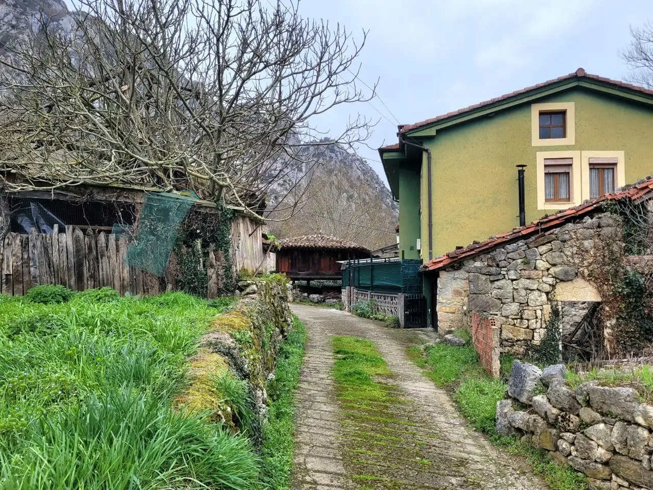 Außenansicht von Haus oder Chalet zum Verkauf in Quirós mit Heizung und Privatgarten