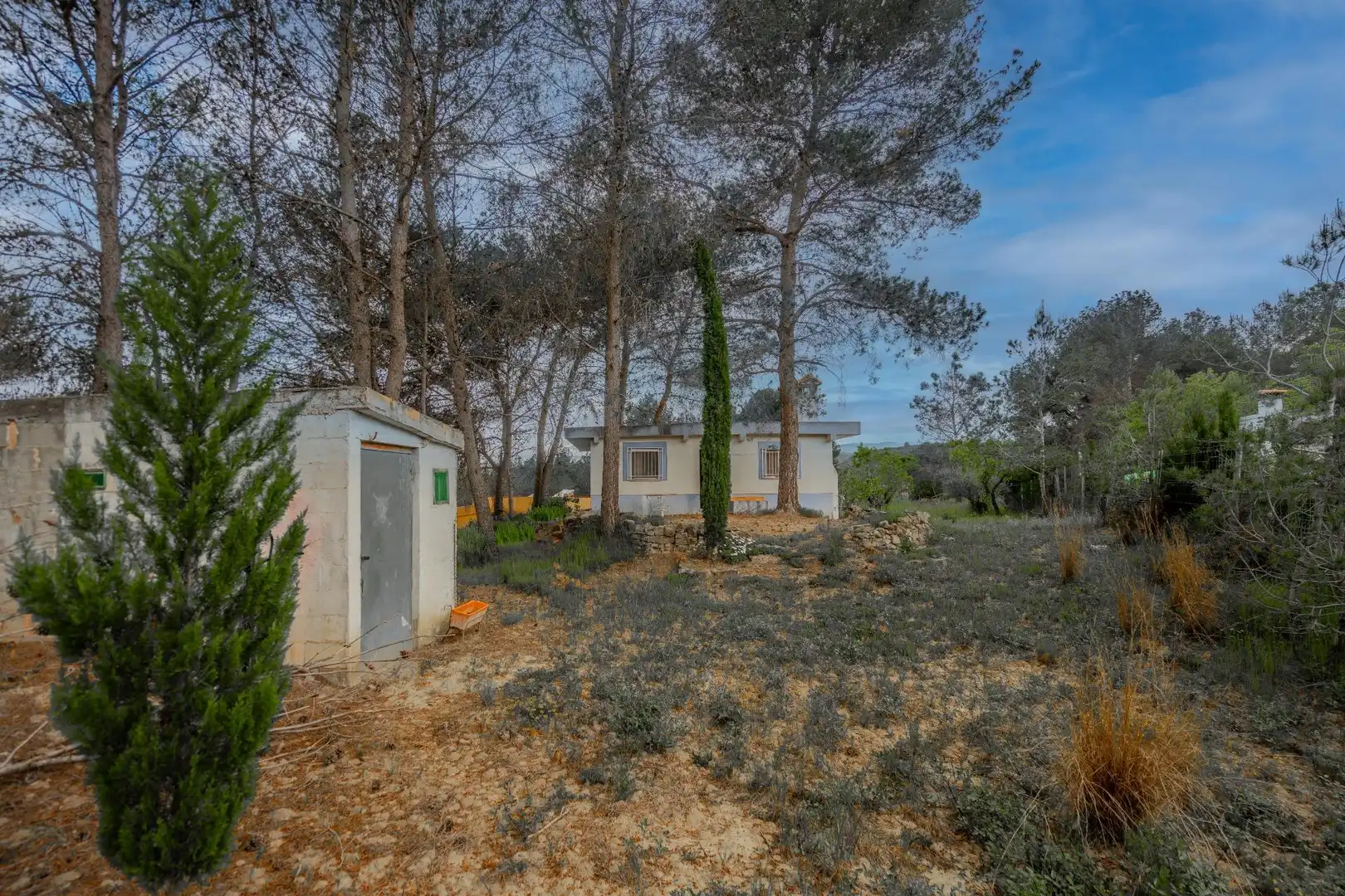 Country homes for sale in Jérica