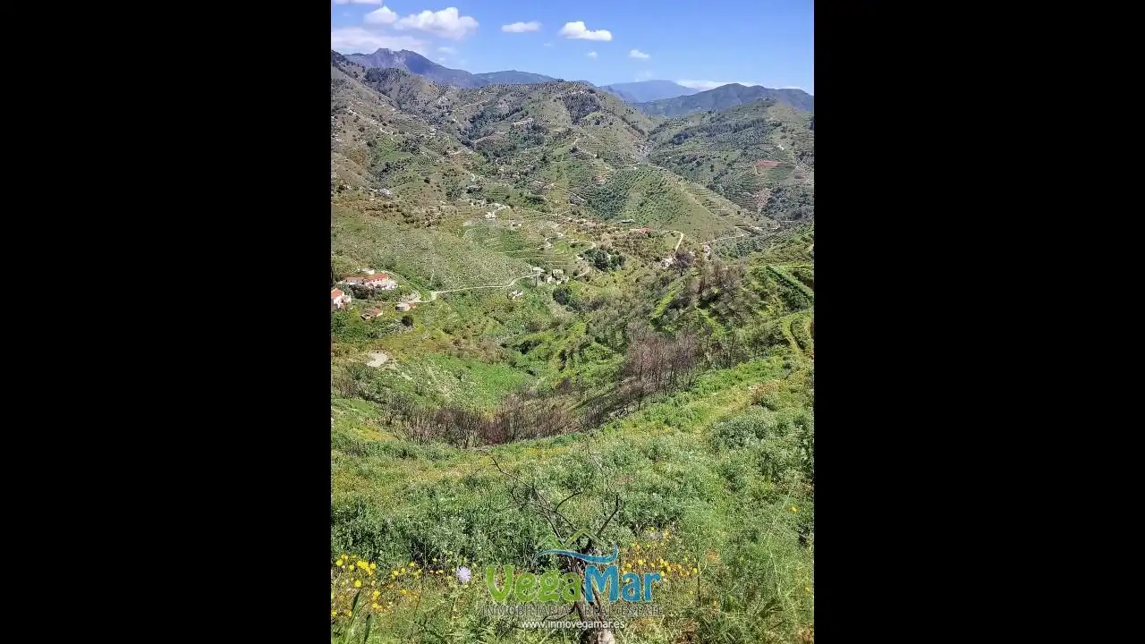 Vista exterior de Finca rústica en venta en Almuñécar