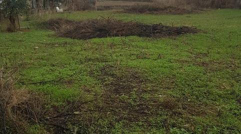 Photo 3 of Industrial land for sale in El Higuerón, Córdoba