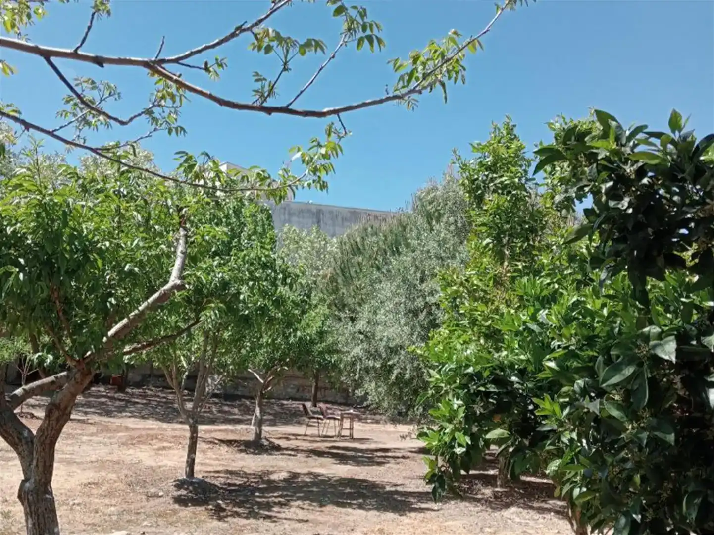 Jardín de Residencial en venta en Peraleda de la Mata