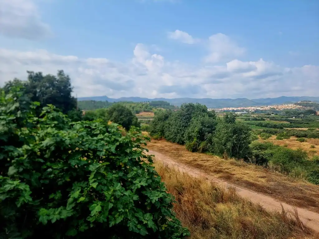 Casa o xalet en venda a Castellnovo