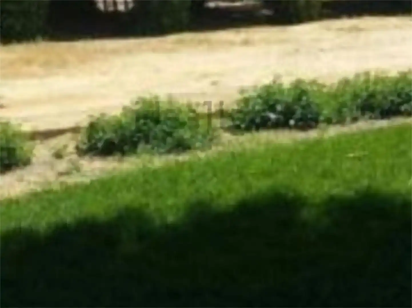 Finca rústica en venda en Marchena amb Piscina i Moblat