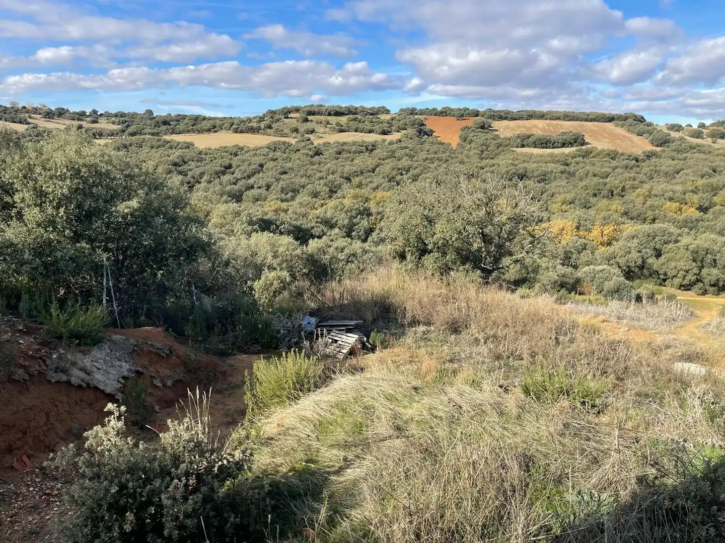 Terreno residencial en venta en Avenida de Sotolargo, imagen 3