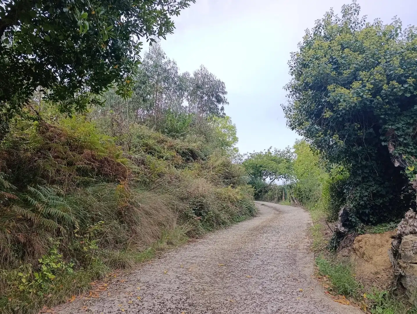 Rustikales Grundstück zum Verkauf in Carretera Piñera (Noriega) 0, imagen 45