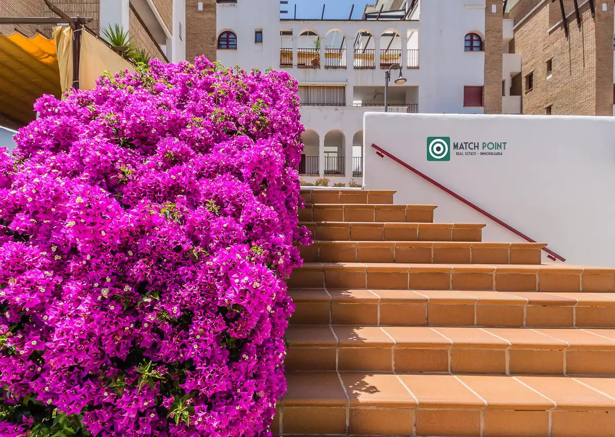 Apartamento de alquiler en Paseo de la Playa, Playa de Granada