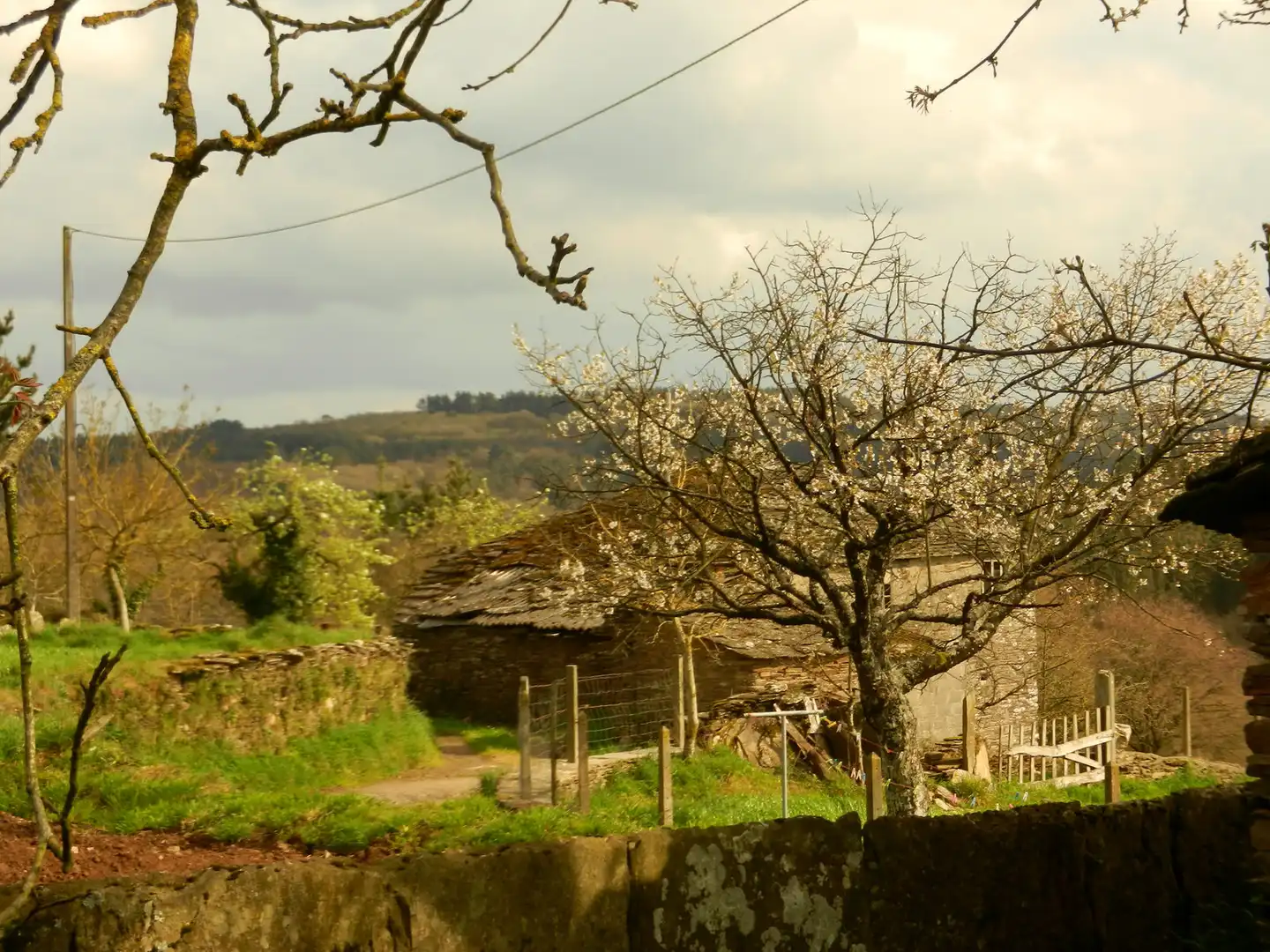 Maison à vendre à Lugar Coeses, imagen 5