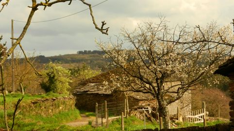 Foto 5 de Casa o chalet en venta en Lugar Coeses, O Corgo , Lugo
