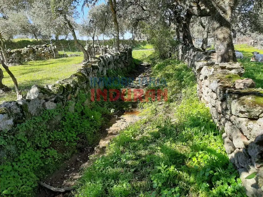 Casa rústica en venda a Belvís de Monroy, imagen 6