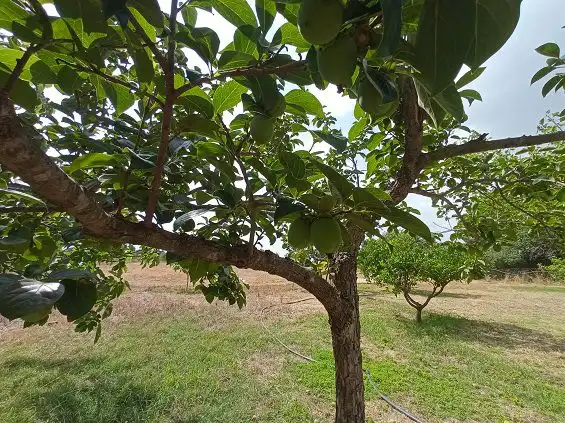 Residencial en venda en Constantí