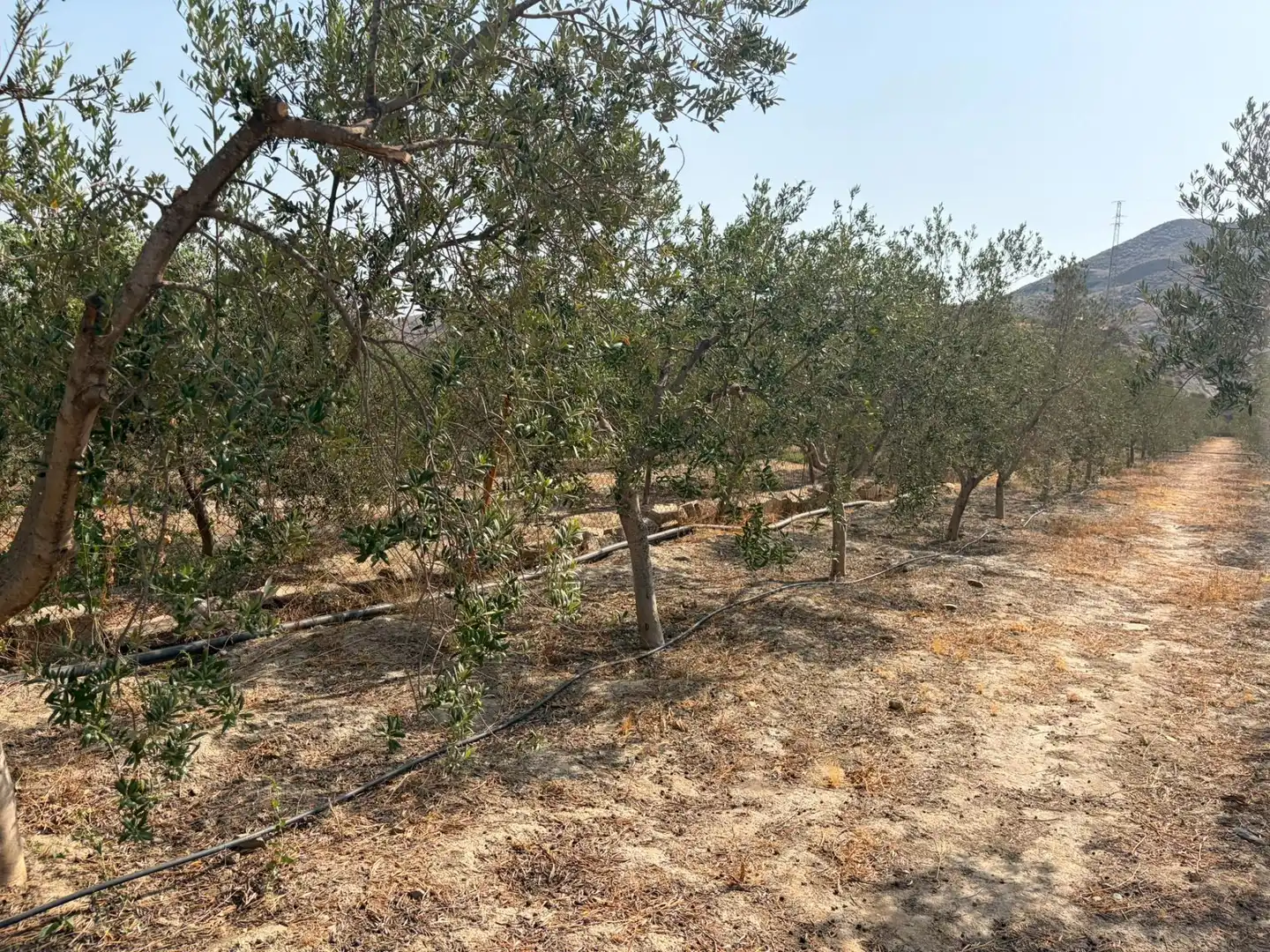 Terreno rustico in vendita a Santa Fe de Mondújar, imagen 19