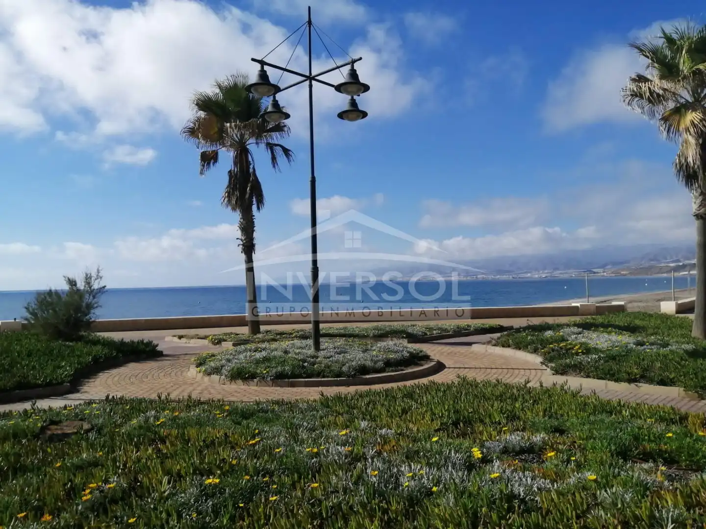 Exterior view of Commercial properties for sale in El Ejido