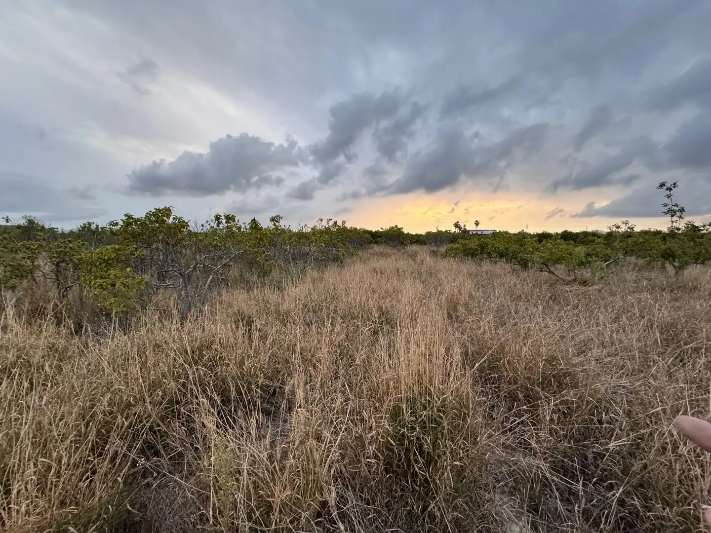 Terrenos y solares en venta en Polígono 10 Parcela 62, imagen 4
