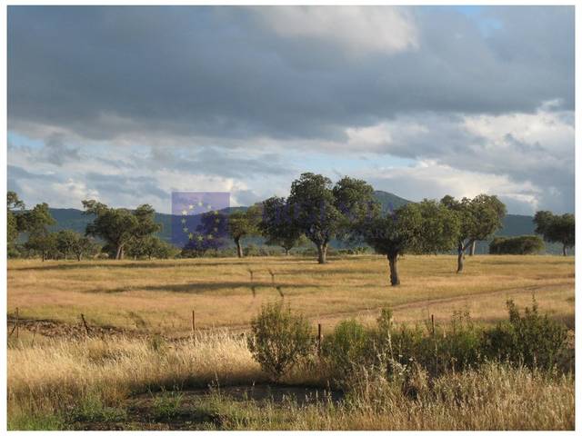 Casa-chalet en Venta en Campus Universitario