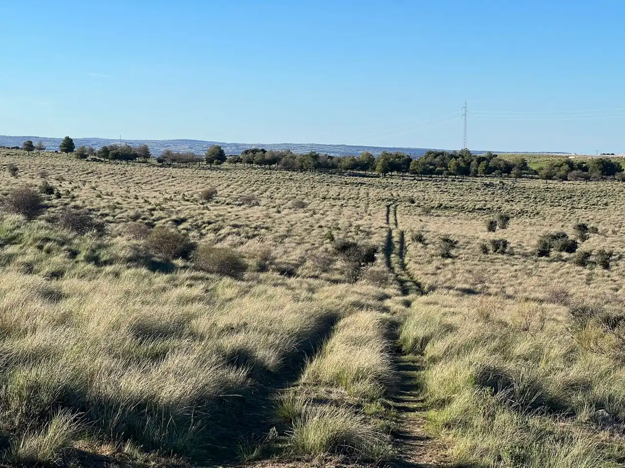 Terreni e lotti in vendita a Tornadizos de Ávila, imagen 49