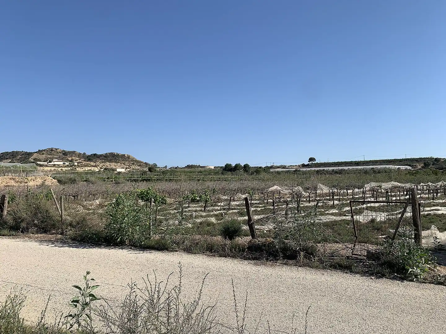 Terreno residencial en venta en Monforte del Cid, imagen 6