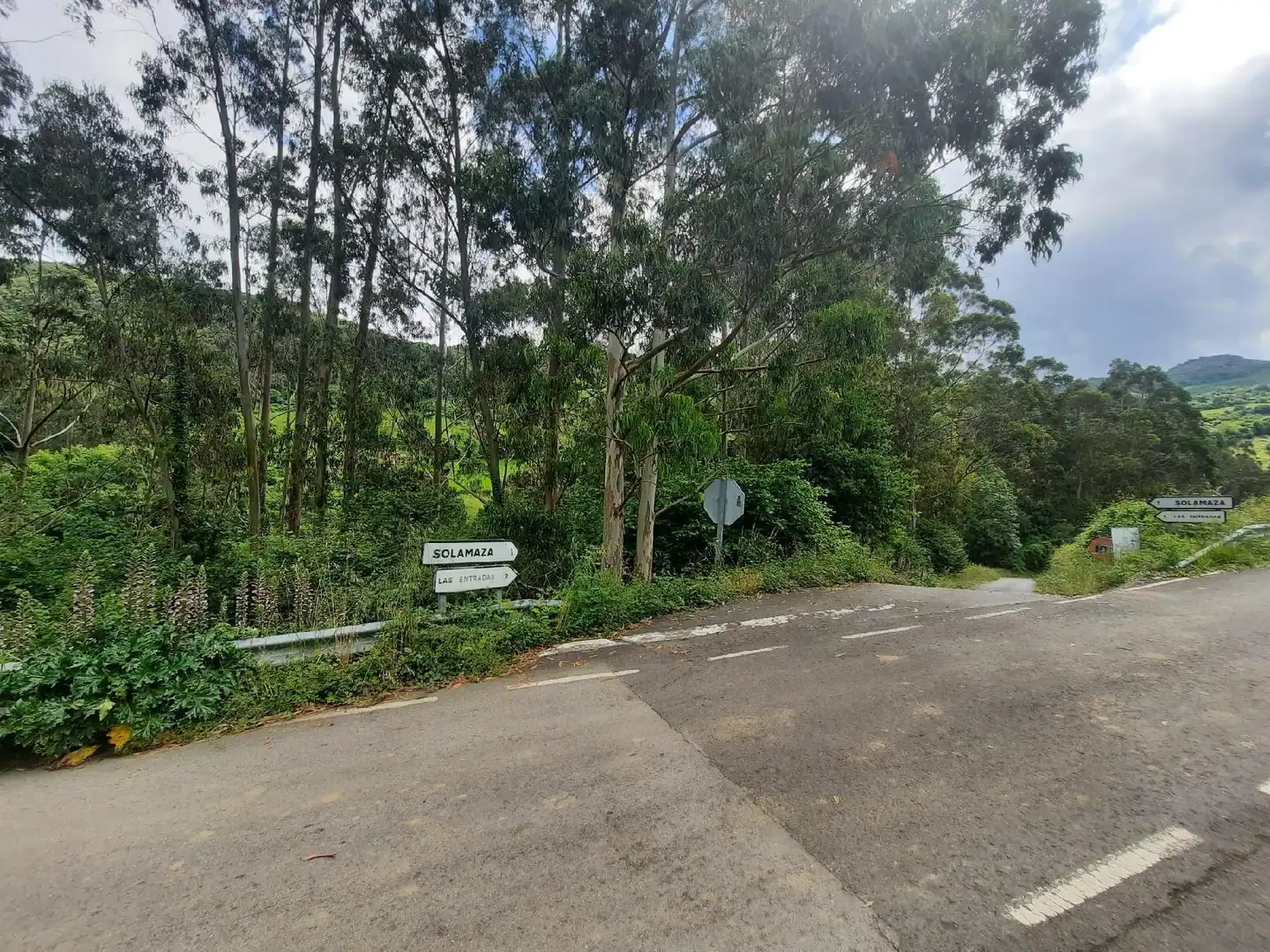 Rural land for sale in Ampuero, imagen 6