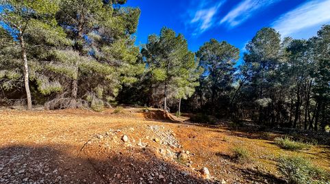 Foto 5 de Terreno en venta en Xirles, Polop