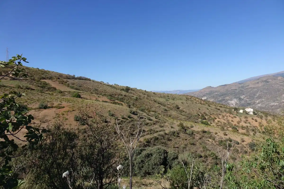 Chalet en venta en Torvizcón, imagen 15