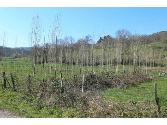 Terreno en Venta en Trucios-Turtzioz