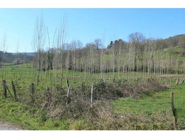 Terreno rustico in vendita a Trucios-Turtzioz