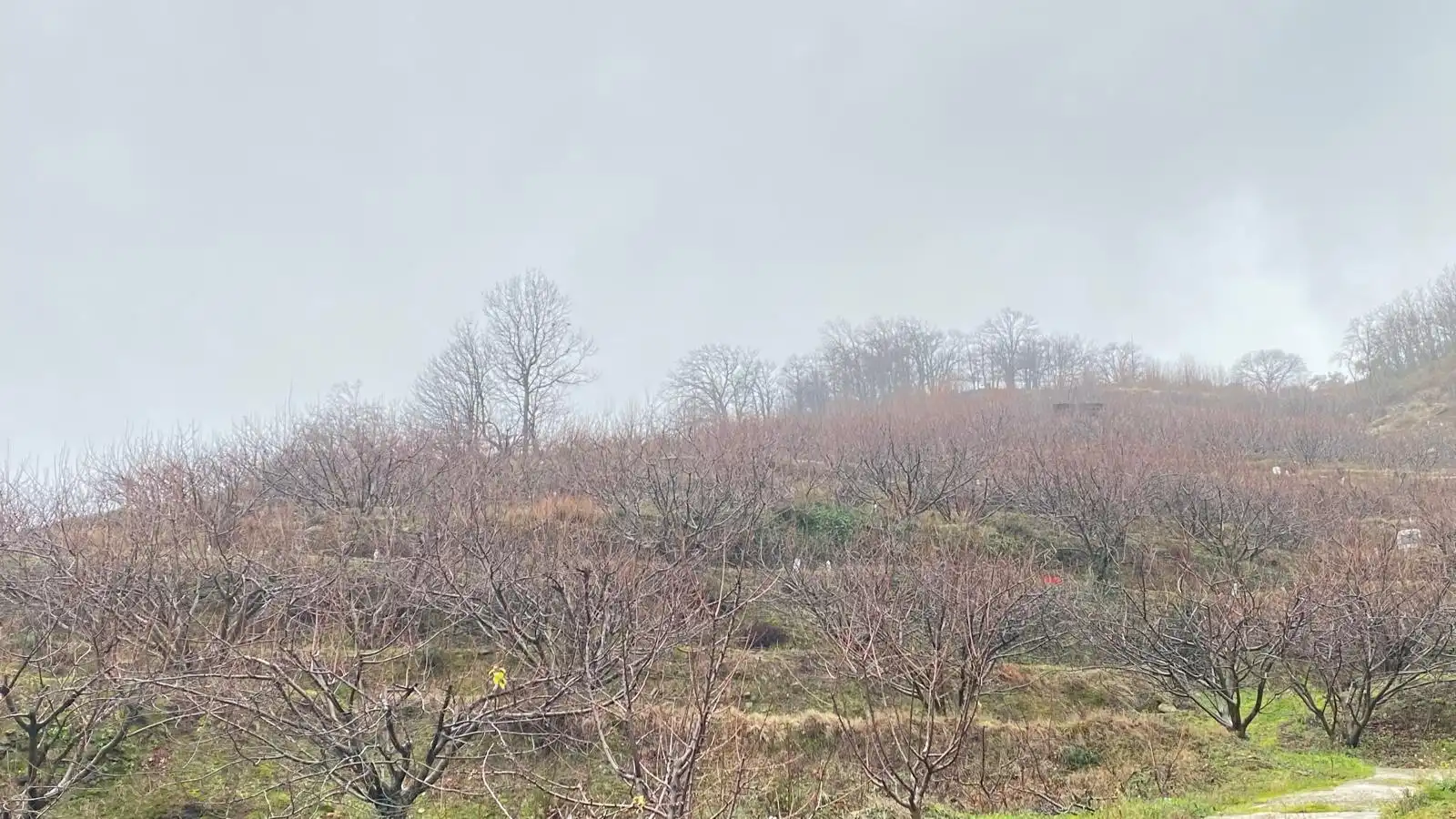 Terreni e lotti in vendita a Arroyomolinos de la Vera, imagen 8