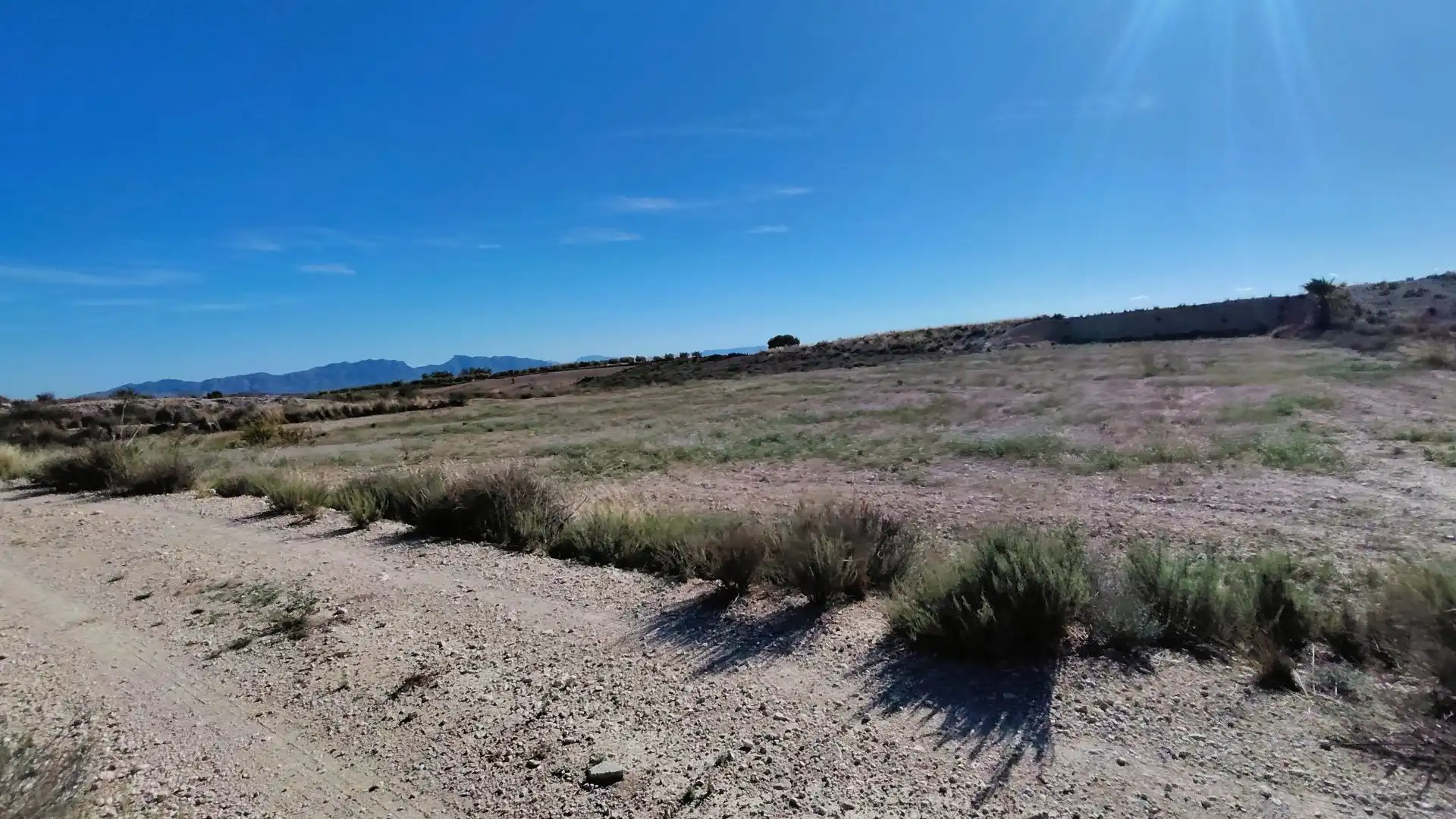 Lands and plots for sale in Abanilla, imagen 9