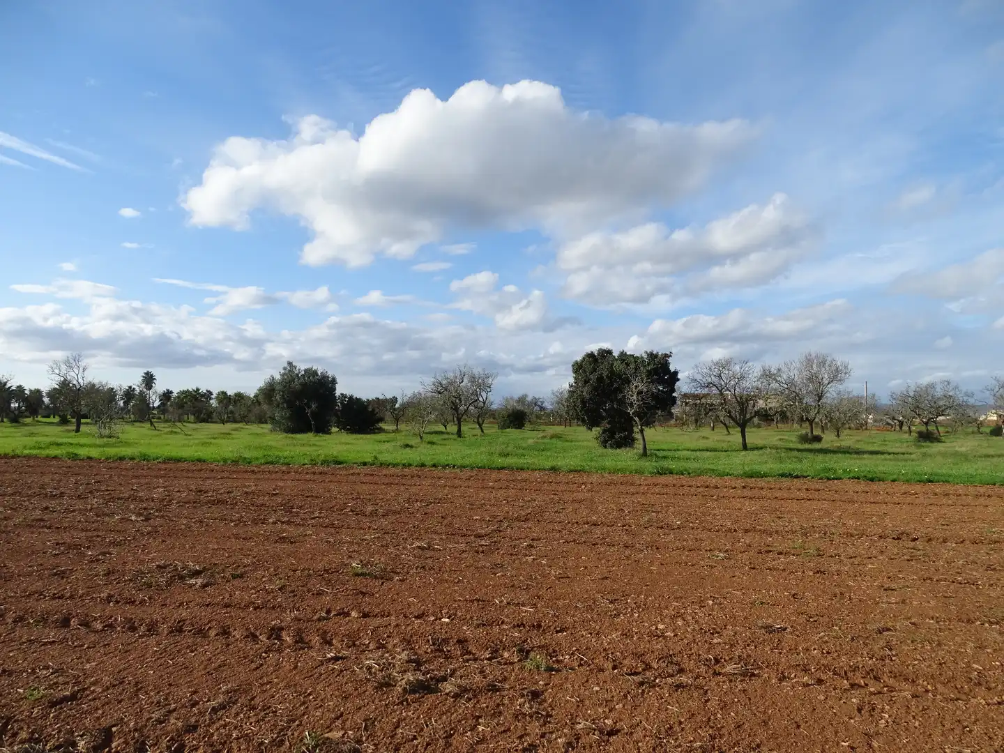 Terreno rustico in vendita a Santanyí Poble, imagen 11