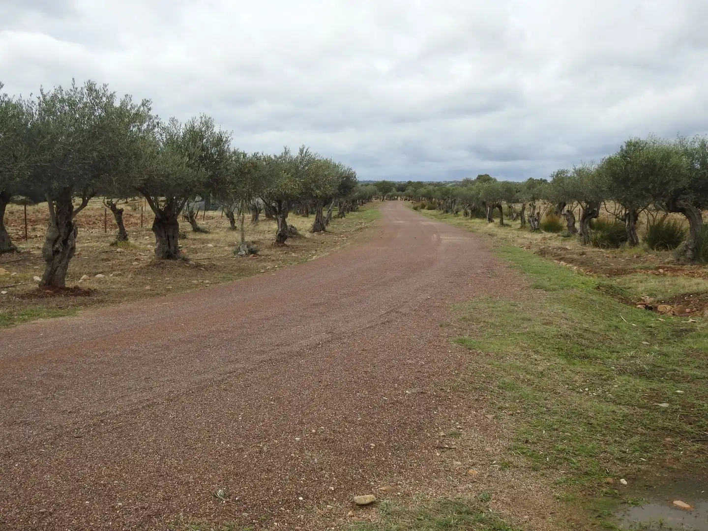 Terreni e lotti in vendita a Peraleda de la Mata, imagen 21