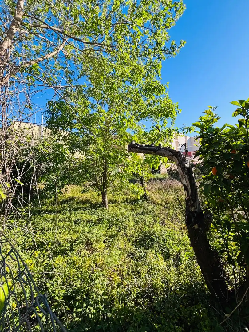 Terreny rústic en venda a Pedanías Este, imagen 5
