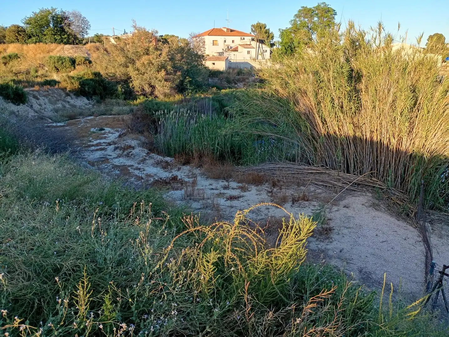 Rural land for sale in Archena, imagen 30